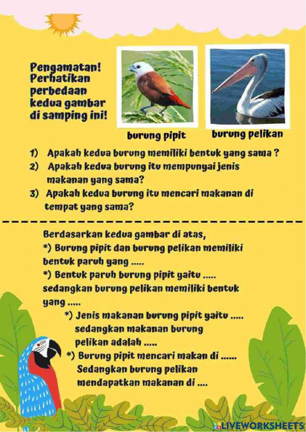 Live 3 - Penyesuaian diri hewan untuk mencari makanan