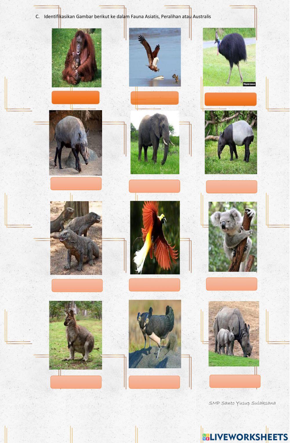 Flora dan Fauna Indonesia