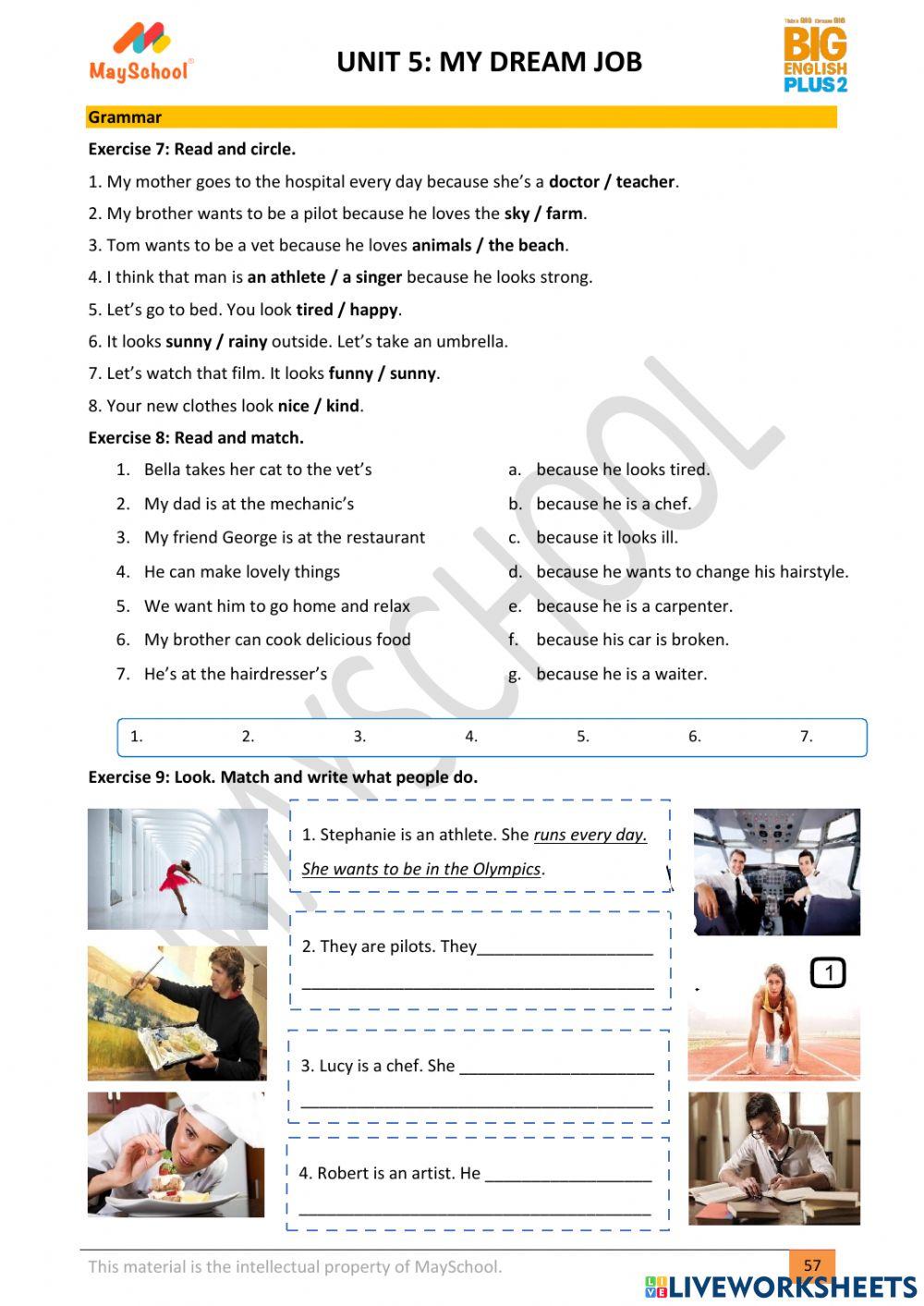 Big english plus 2 unit 5 grammar worksheet live worksheets