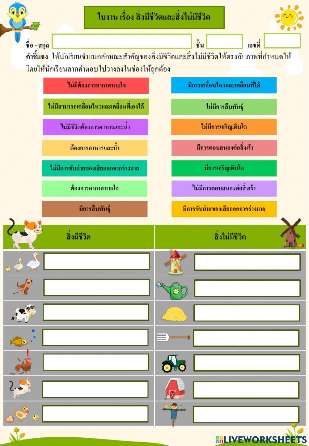 ใบงาน เรื่อง สิ่งมีชีวิตเเละสิ่งไม่มีชีวิต ป.2