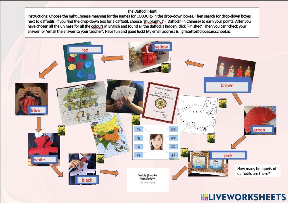 Daffodil Hunt for Colours in Mandarin