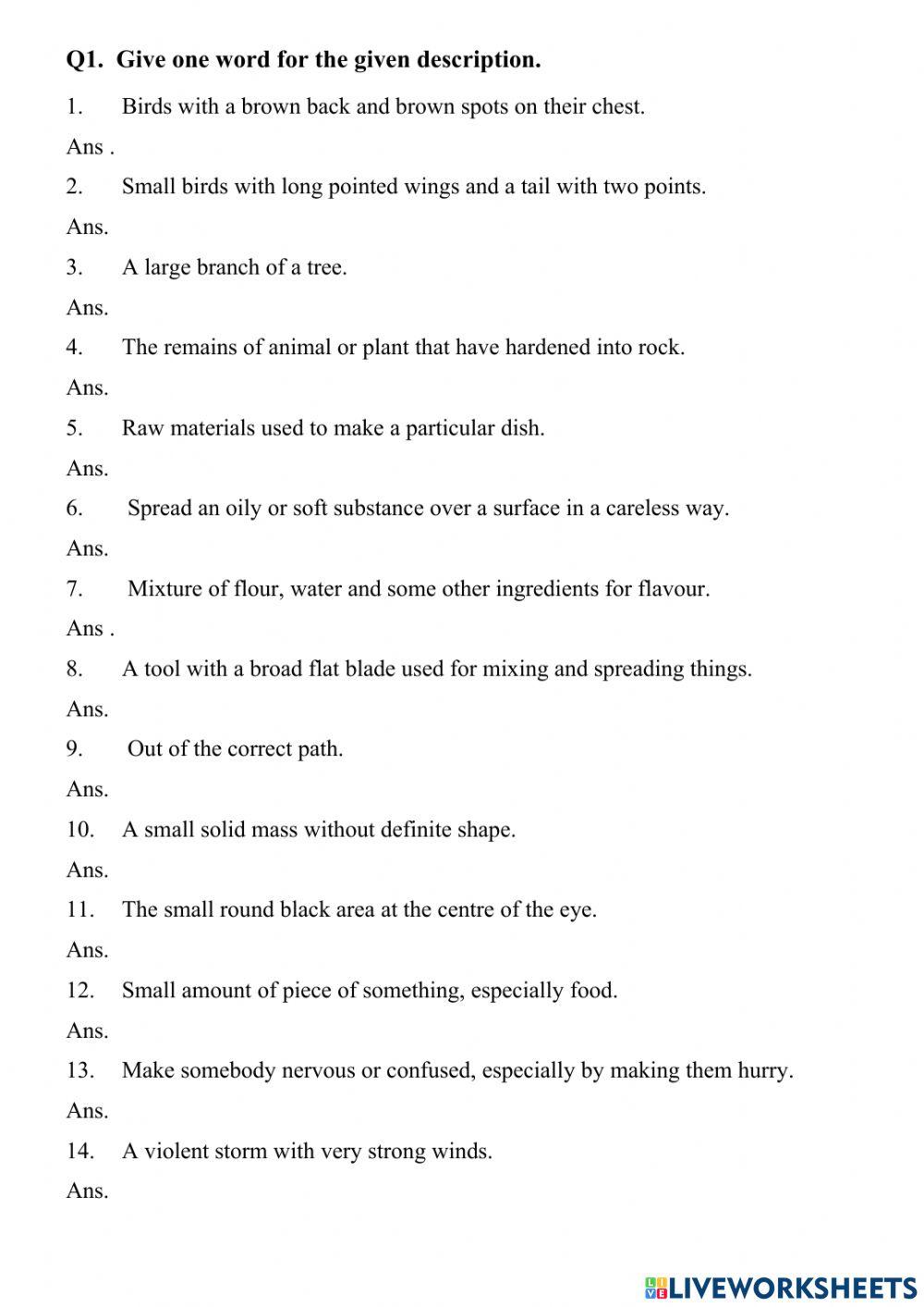 revision-meaning-online-exercise-for-live-worksheets