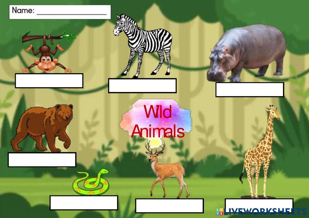 Write the correct answers 6y