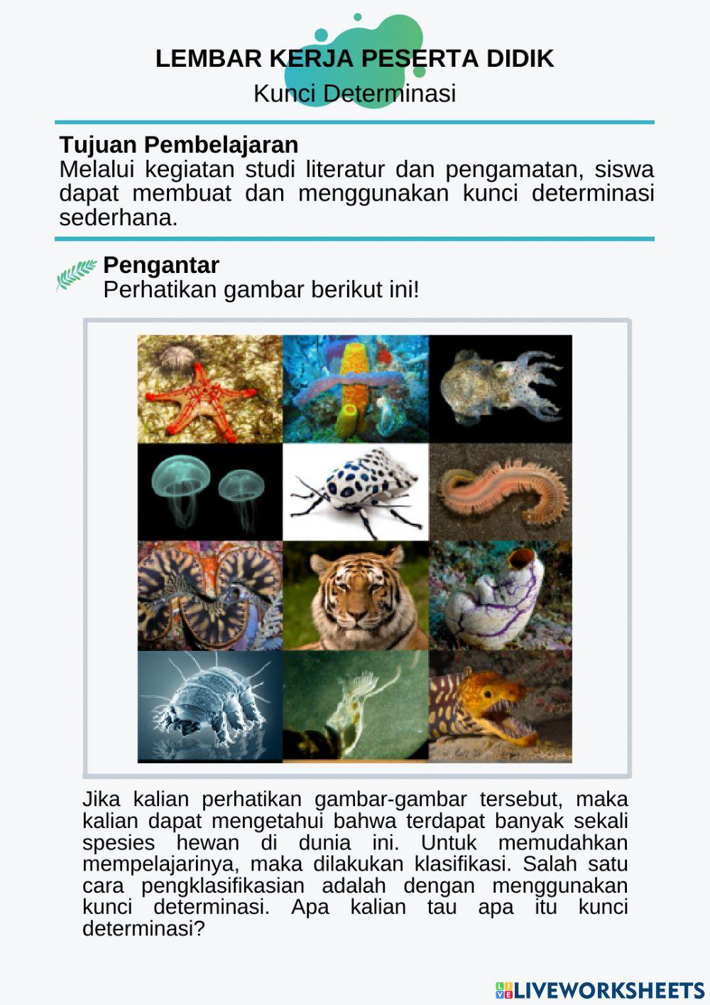 LKPD Kunci Determinasi 1