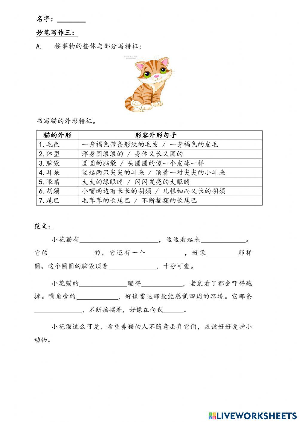 五年级 妙手写笔（三）