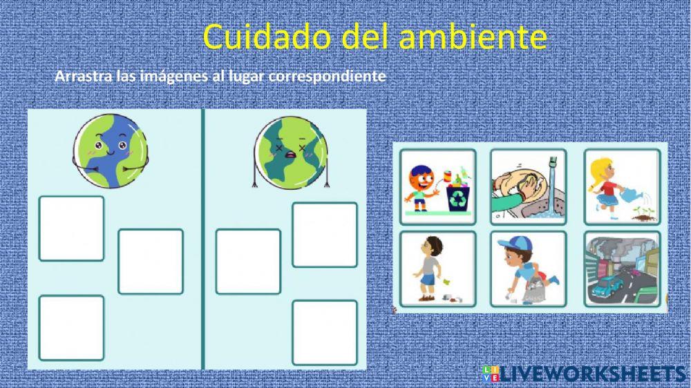 El ser humano y el ambiente