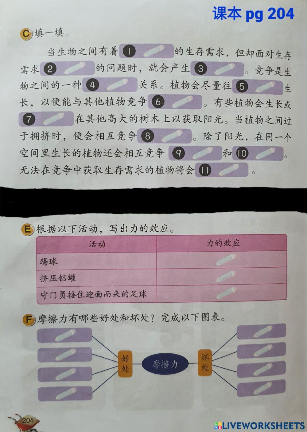 科学课本练习pg204