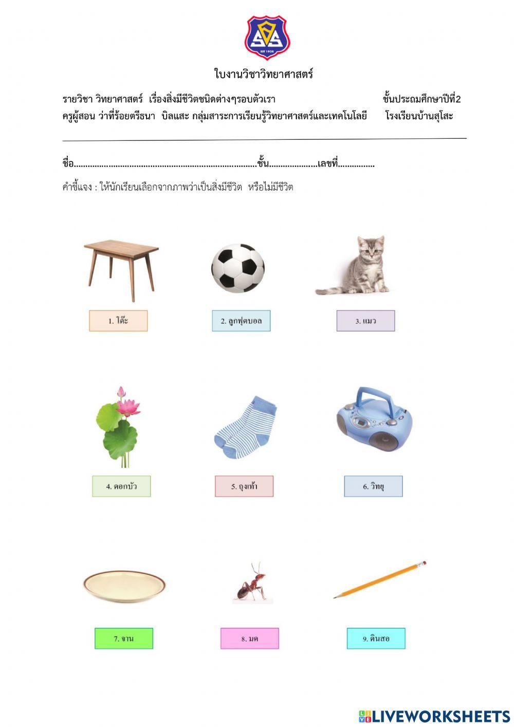 เรื่องสิ่งมีชีวิตรอบตัว ป.2