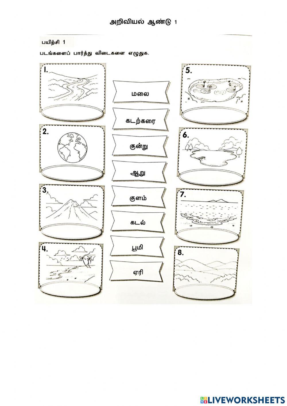 பூமியிம் மேற்பரப்பு - ஆண்டு 1 அறிவியல்