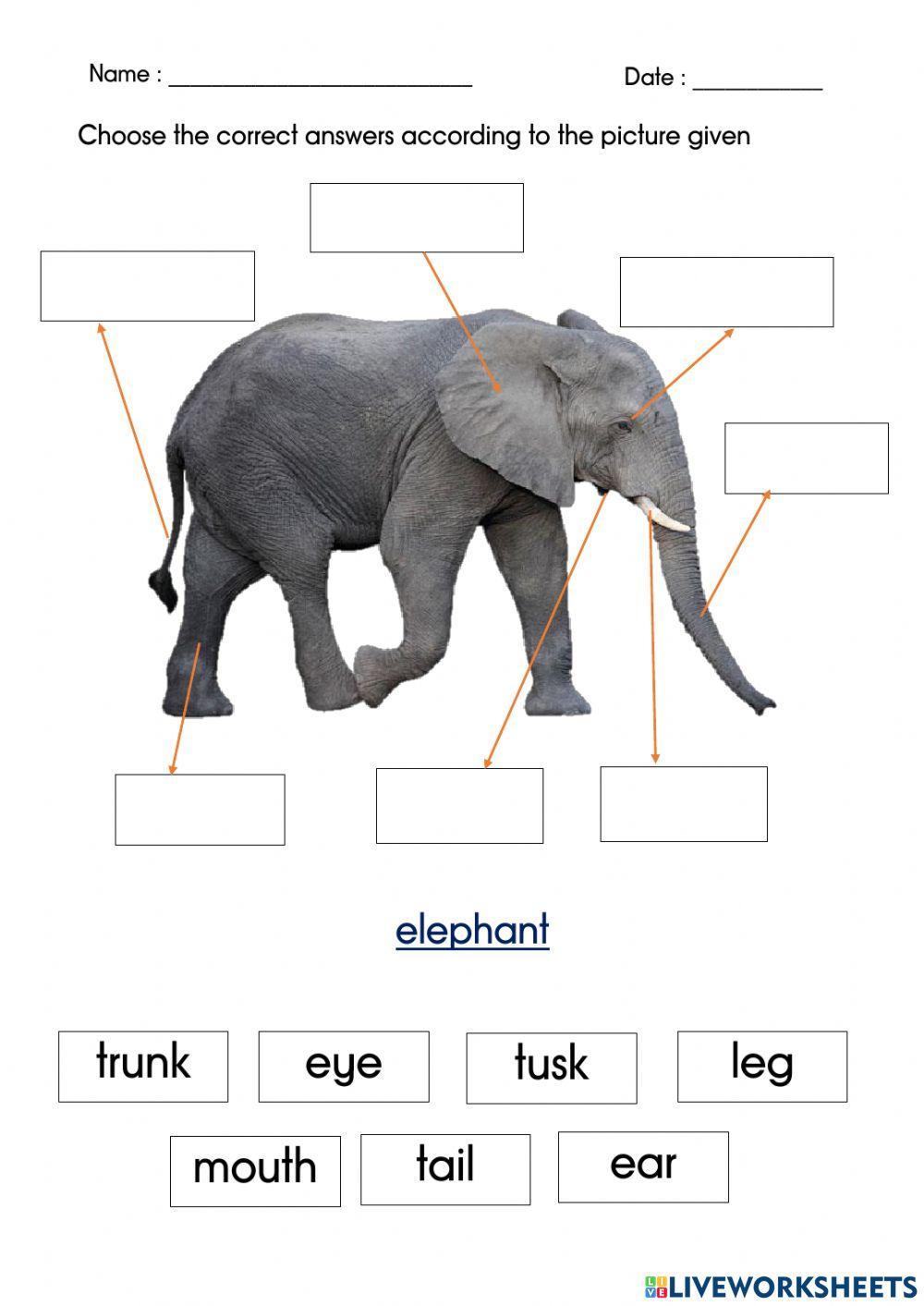 Choose the correct answers