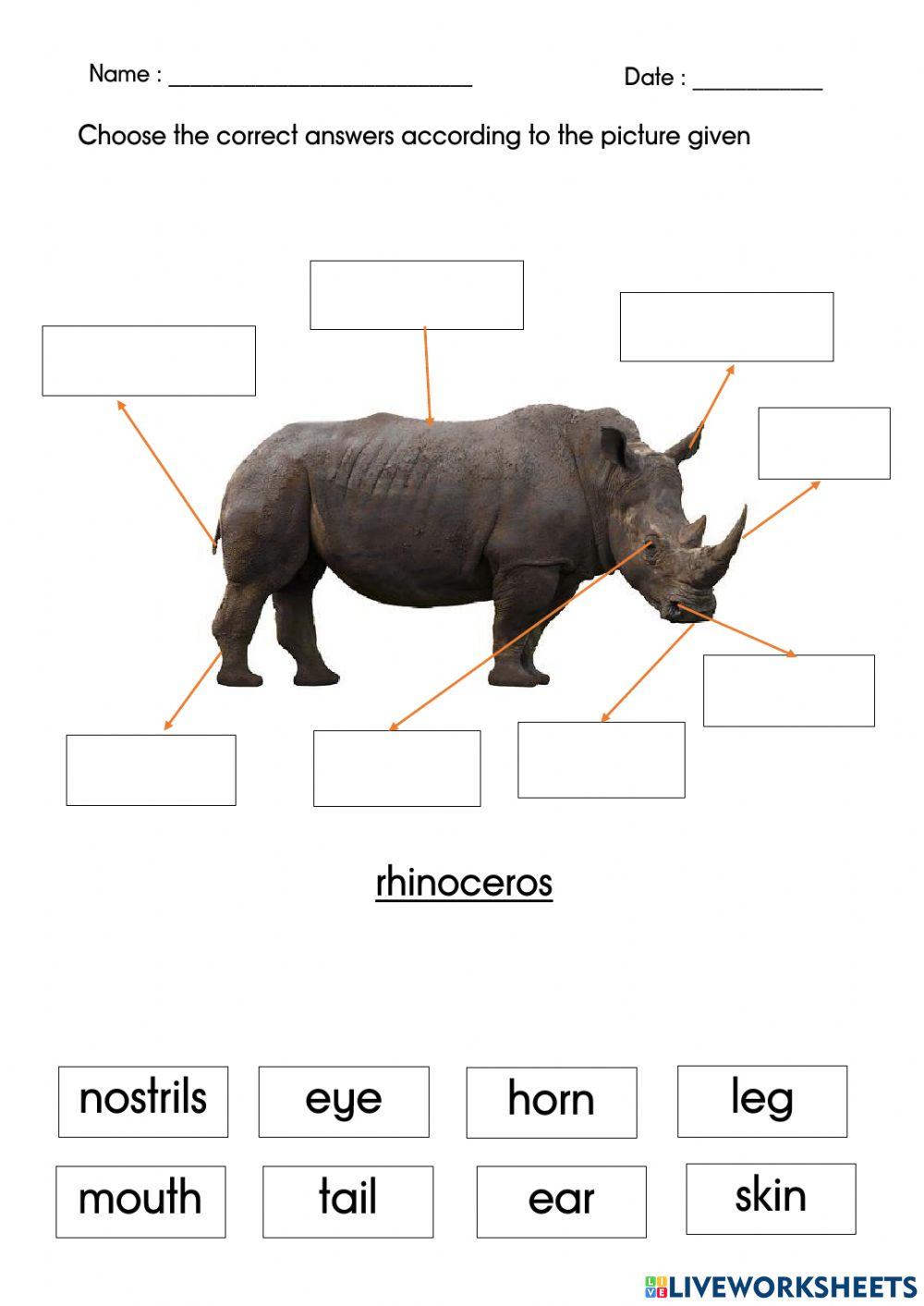 Choose the correct answers