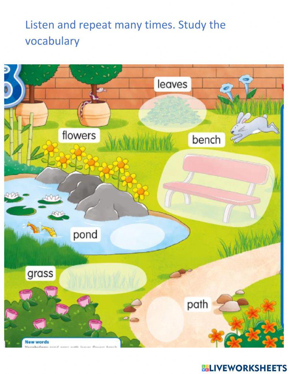 Garden vocabulary