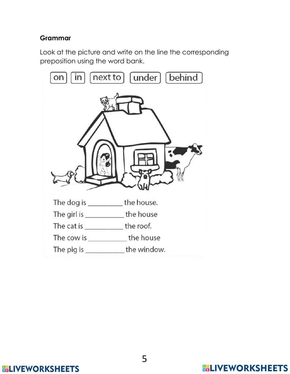 Elementary Diagnostic Test