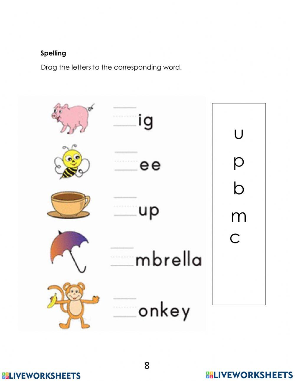 Elementary Diagnostic Test
