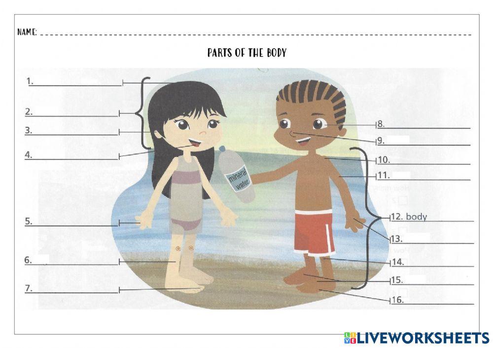 Parts of the body
