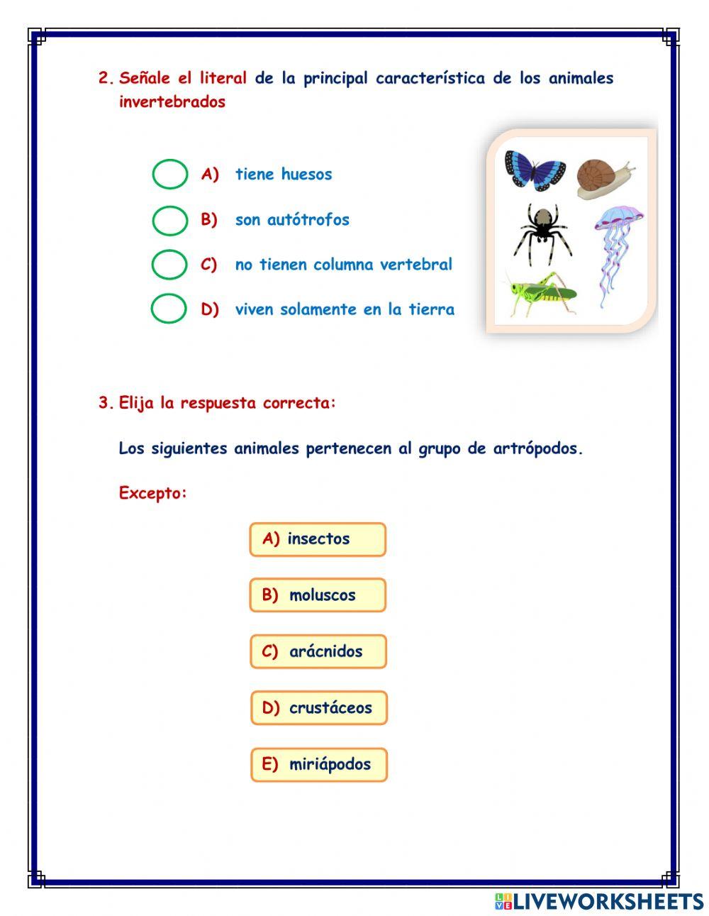 Evaluación diagnóstica de ciencias