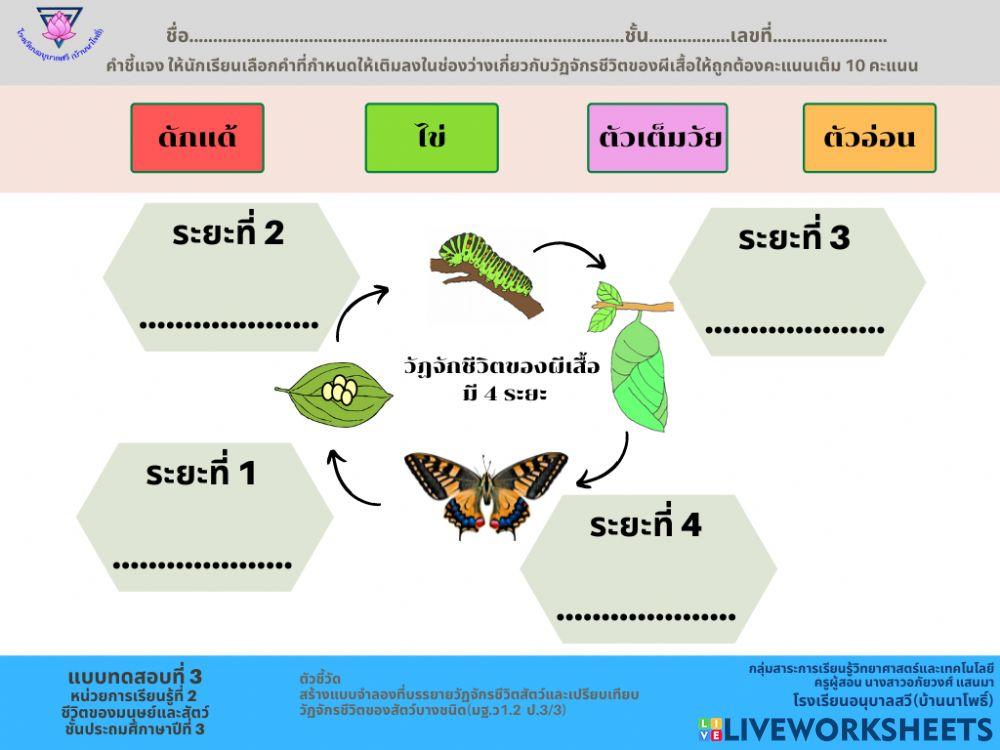แบบทดสอบ 33 หน่วย 2 ป.3