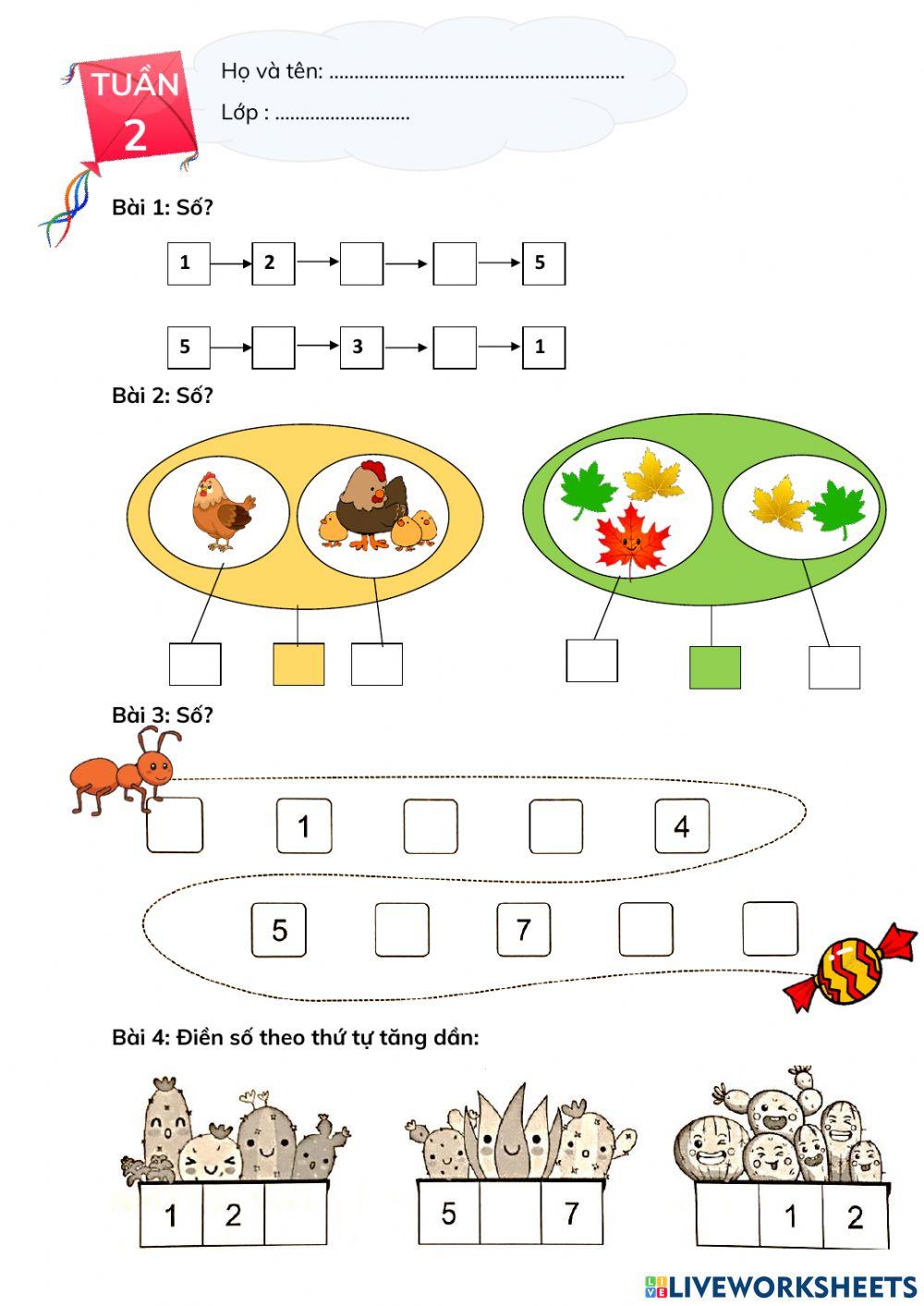 Phiếu BTCT Toán - Tuần 2 - CD