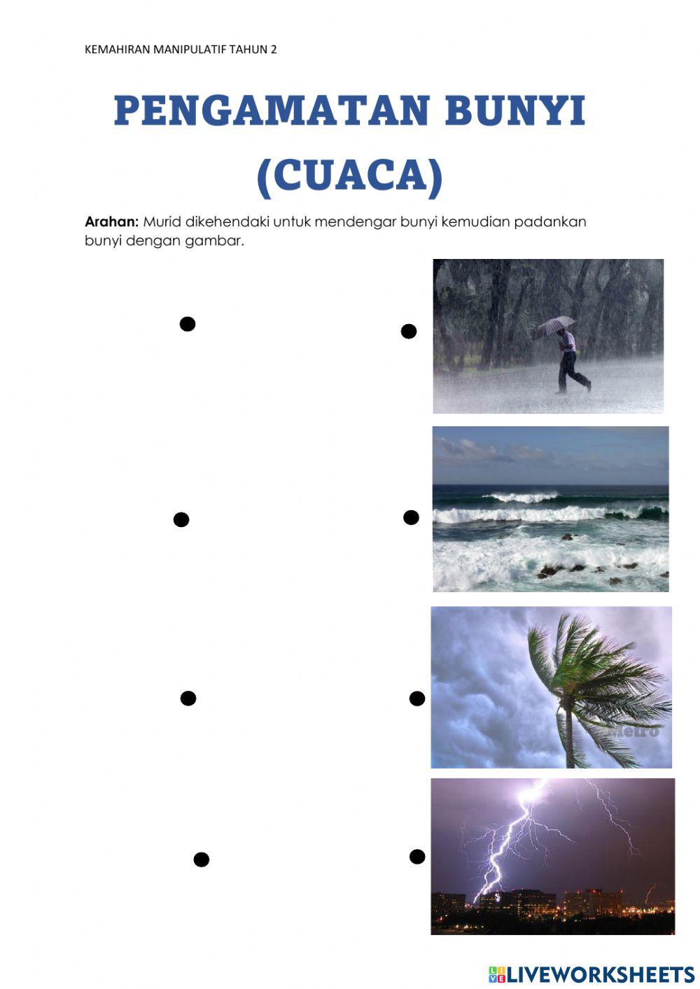 Pengamatan pendengaran