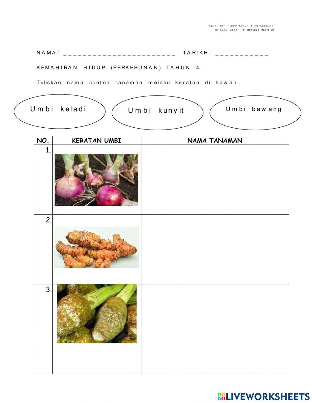 Keratan batang dan keratan umbi