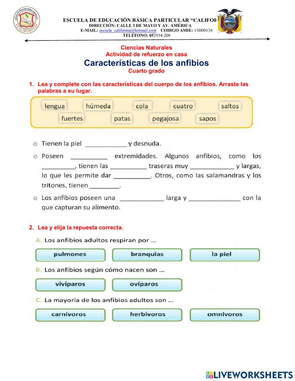 Caracteristicas de los anfibios