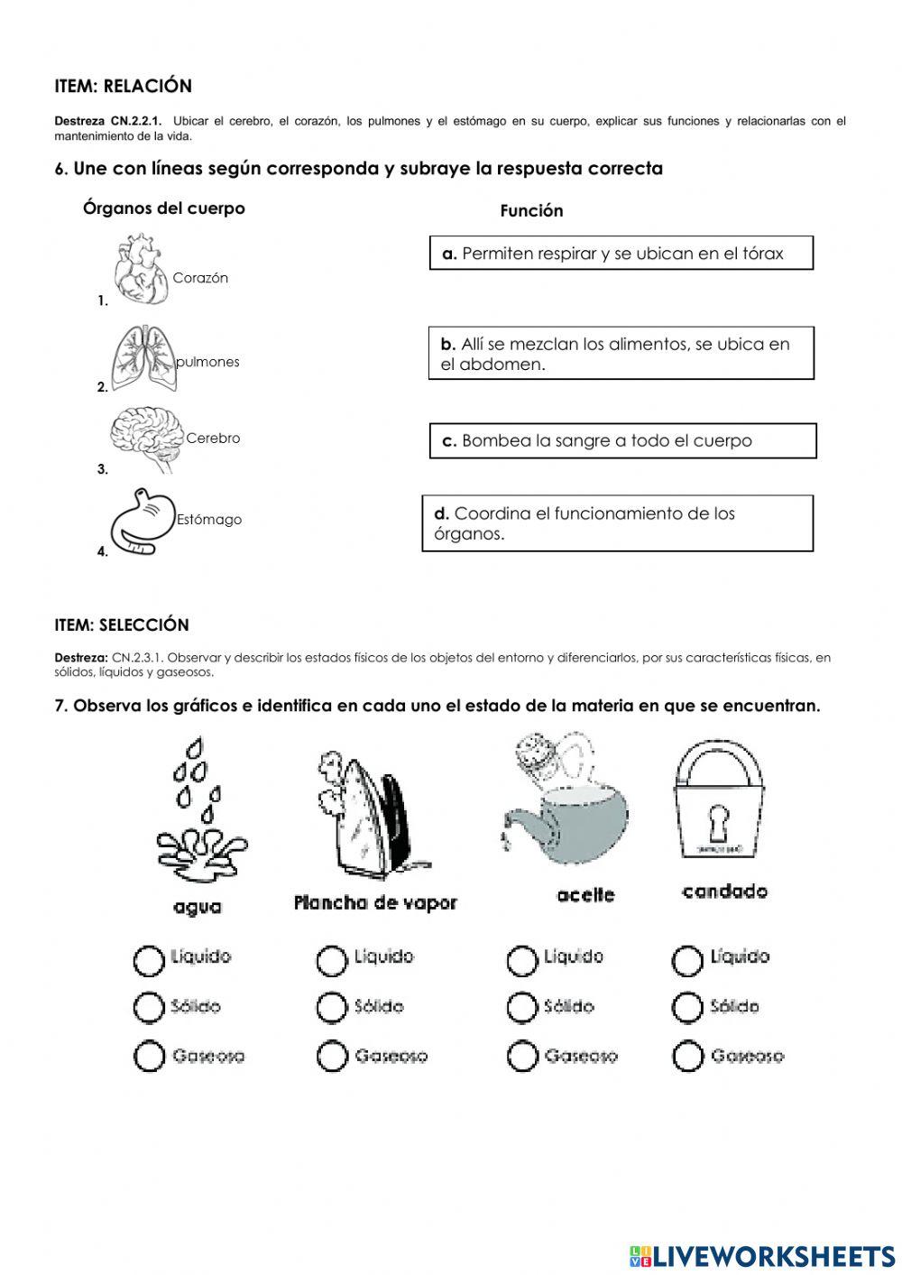 Evaluación de diagnóstico 4°