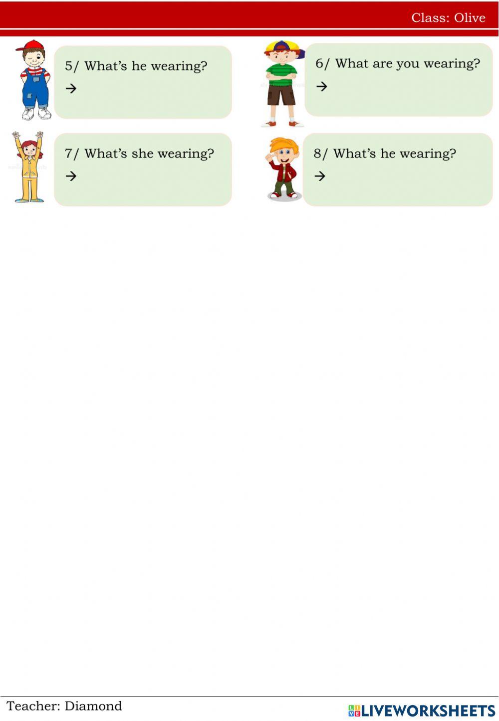 Clothes- Olive(27.8)