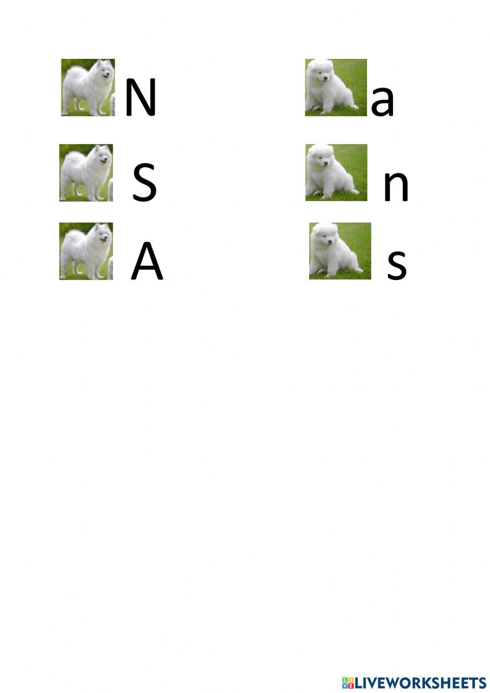 Uppercase and lower case letters