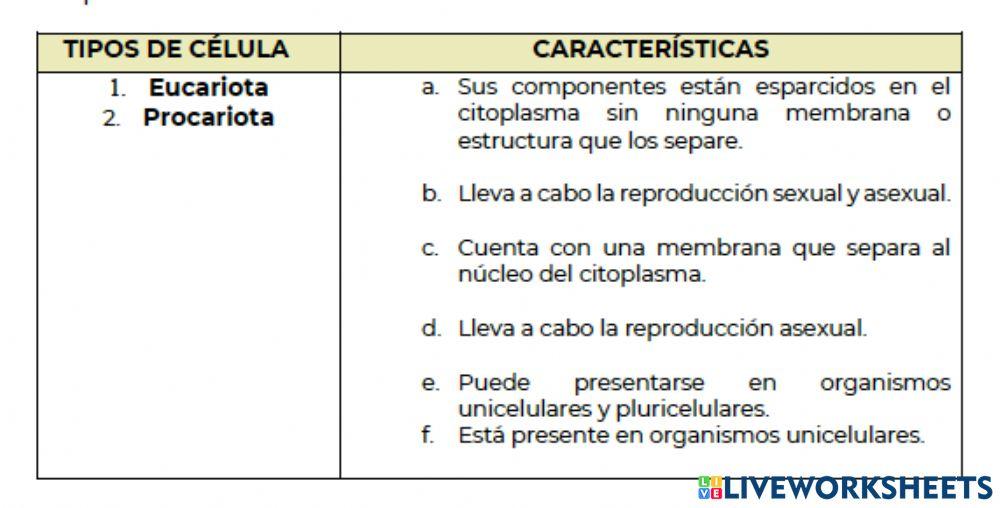 Celulas procariotas y eucariotas
