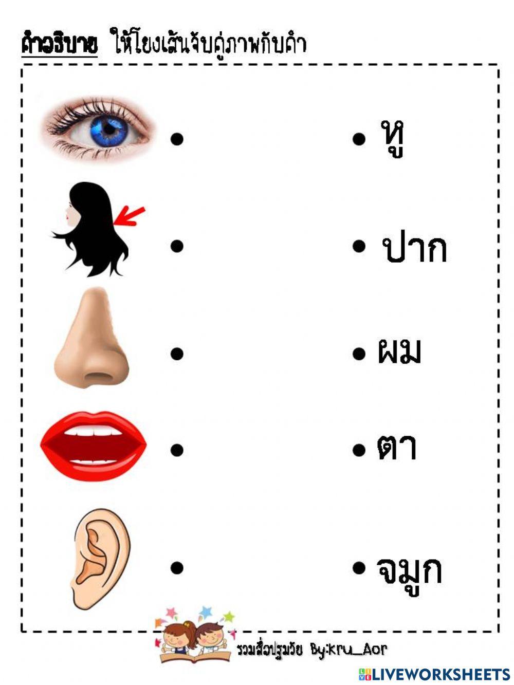 ทดสอบจับคู่ภาพกับคำ