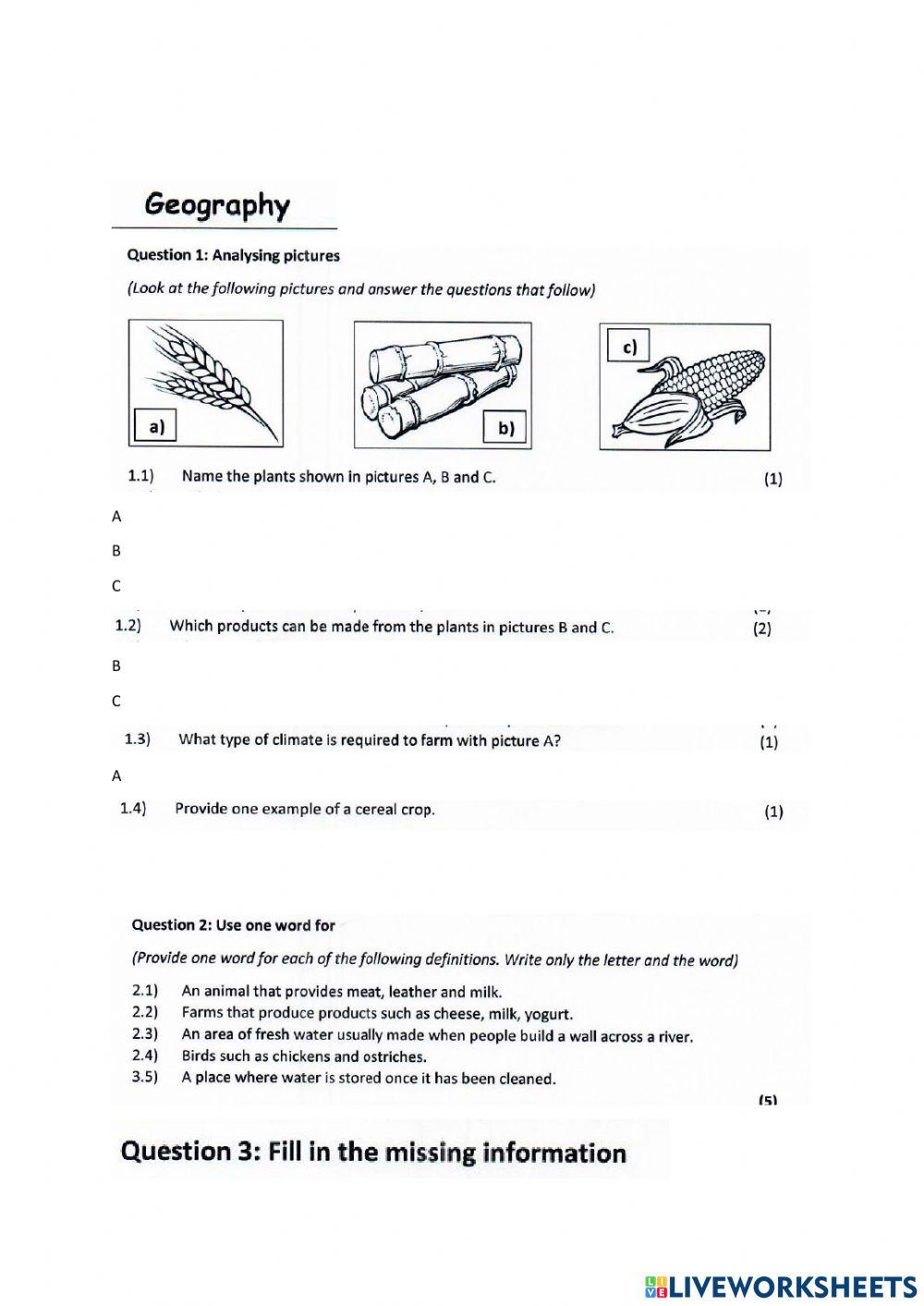 Geogrophy paper 1