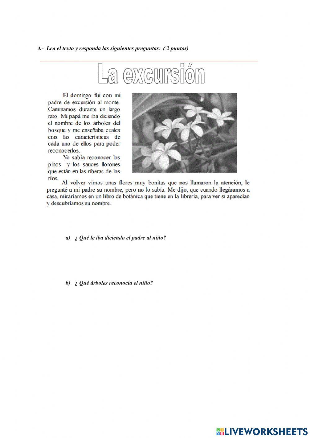 Evaluación ciclo -3 basica.