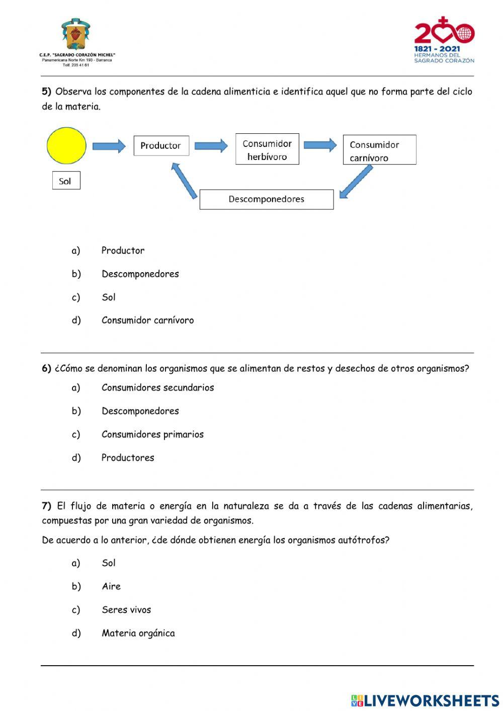 ECOSISTEMA - PRACTICA