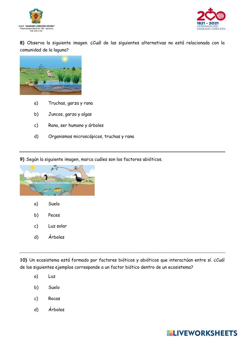 ECOSISTEMA - PRACTICA