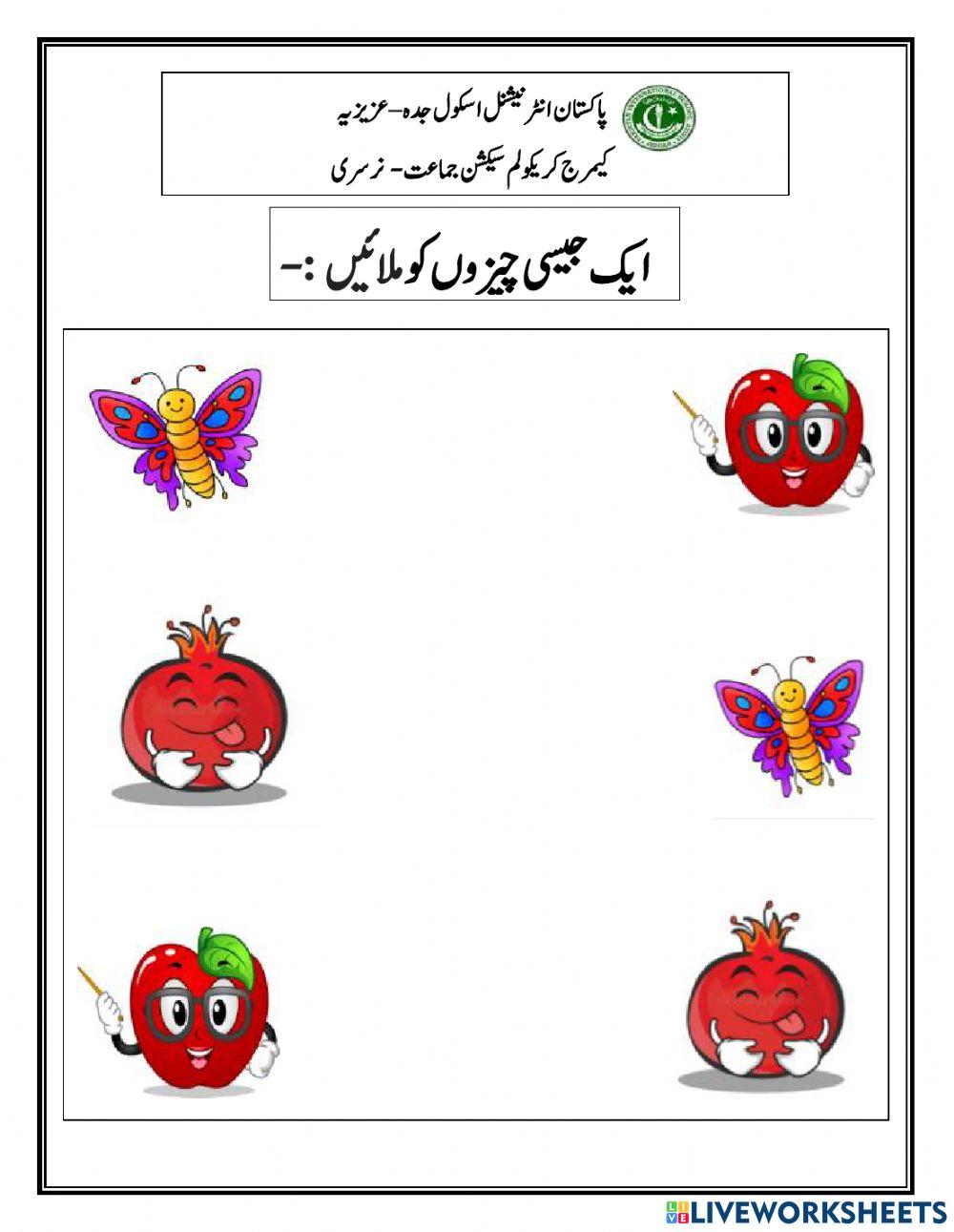express urdu live news