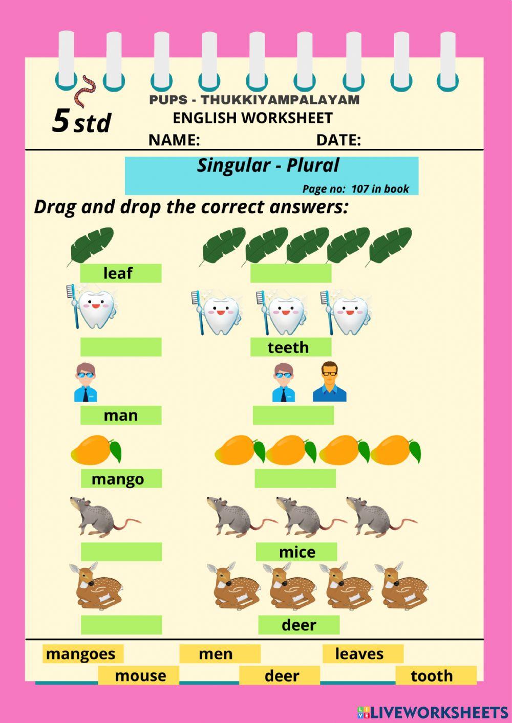 English - singular plural