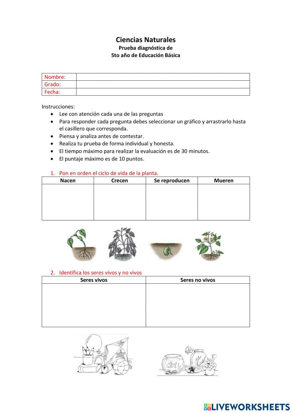 Prueba diagnóstica CCNN 5to EGB