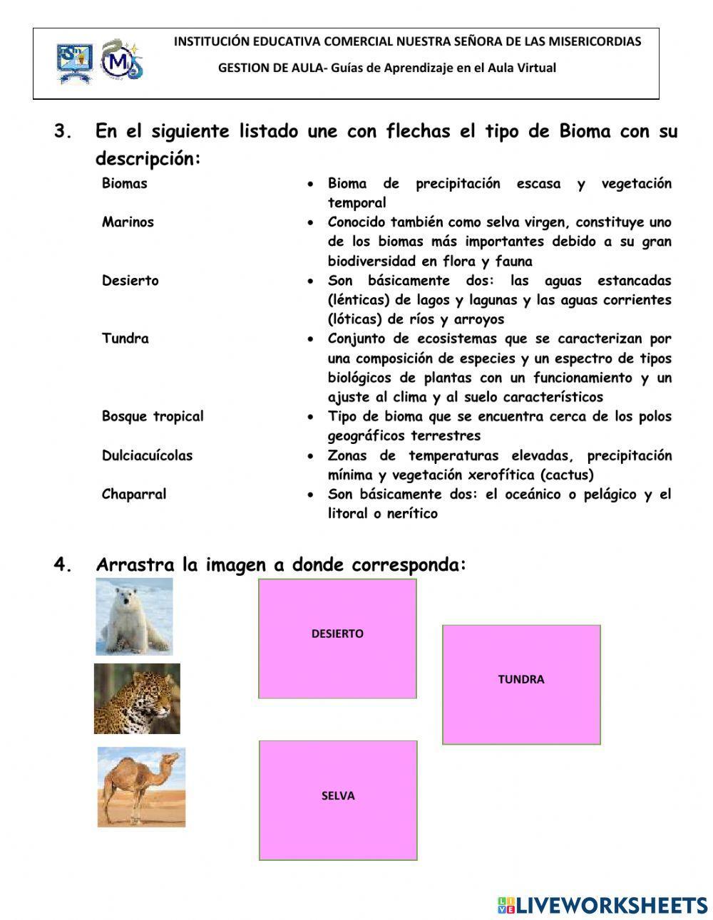 Ecosistemas-clasificación