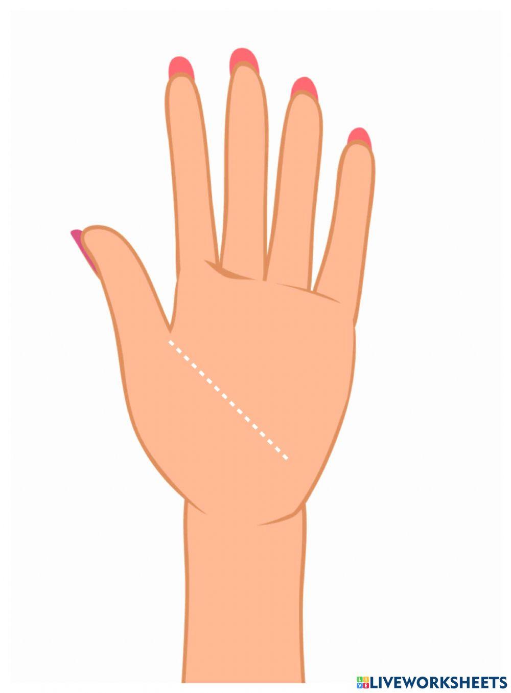 Lo que esta en mi mano