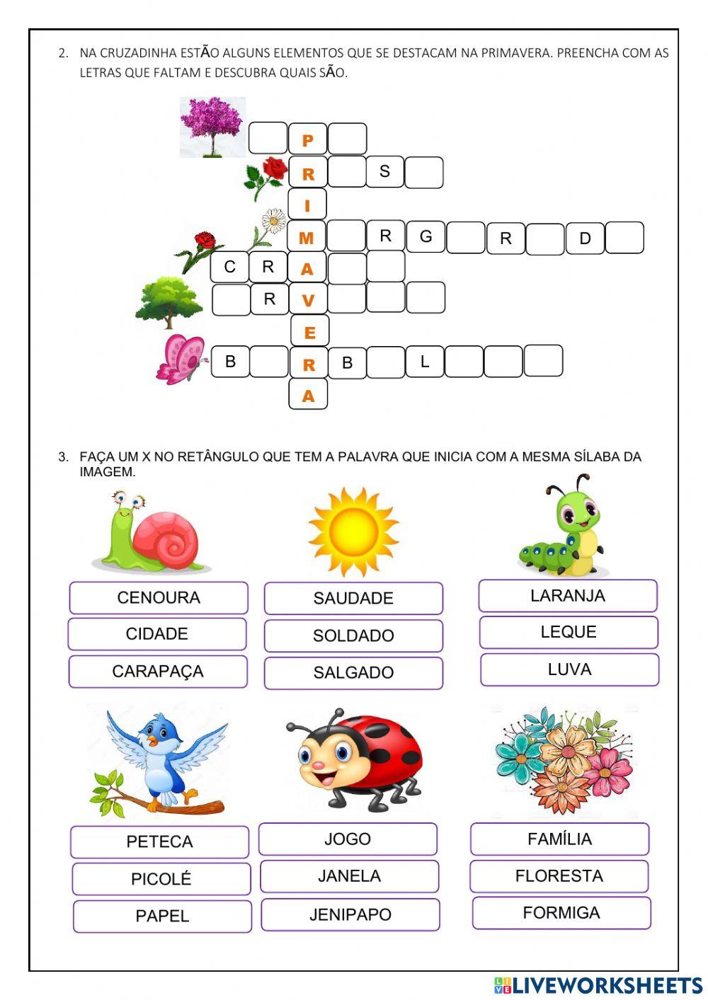 Estação do ano - primavera