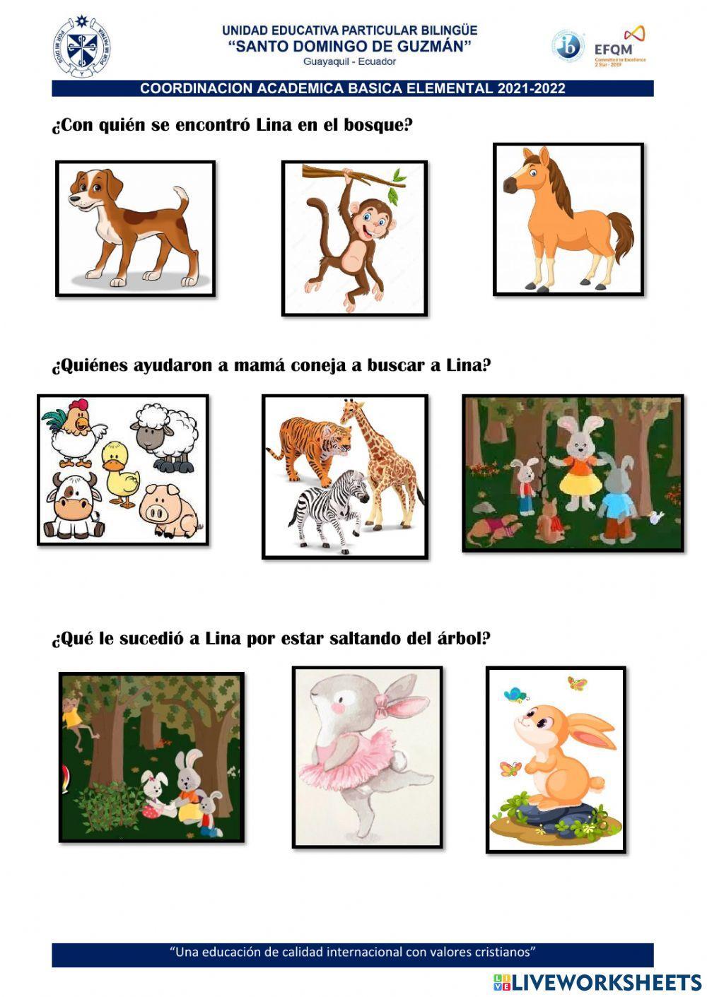 Cuento Lina la conejita desobediente