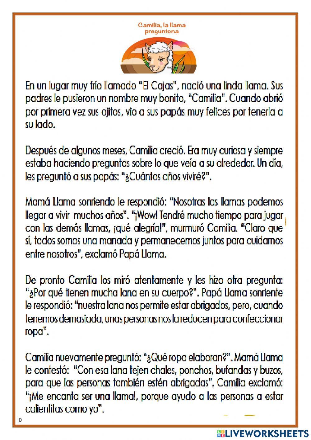 Camilia, la llama preguntona