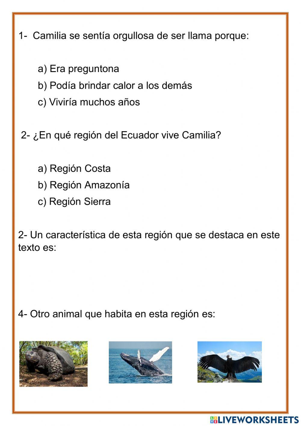 Camilia, la llama preguntona