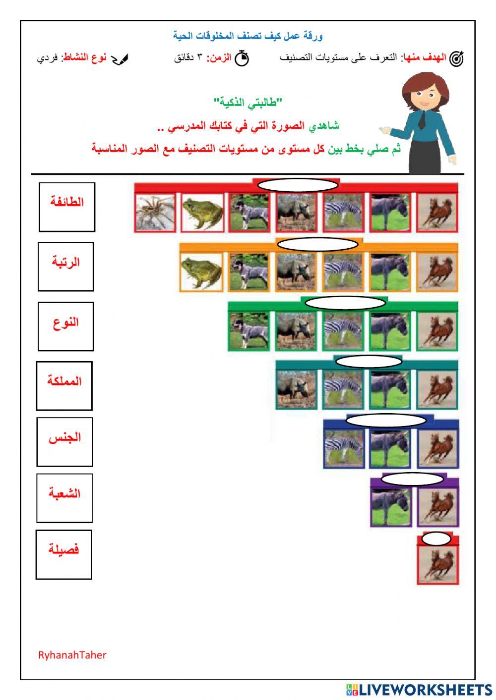 ورقة عمل مستويات التصنيف خامس ابتدائي