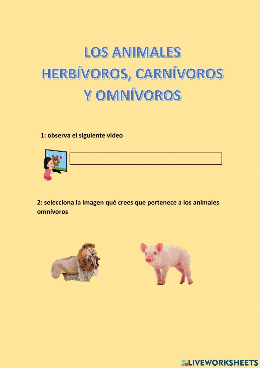 Os animales hervivoros, omnivoros y carnivoros