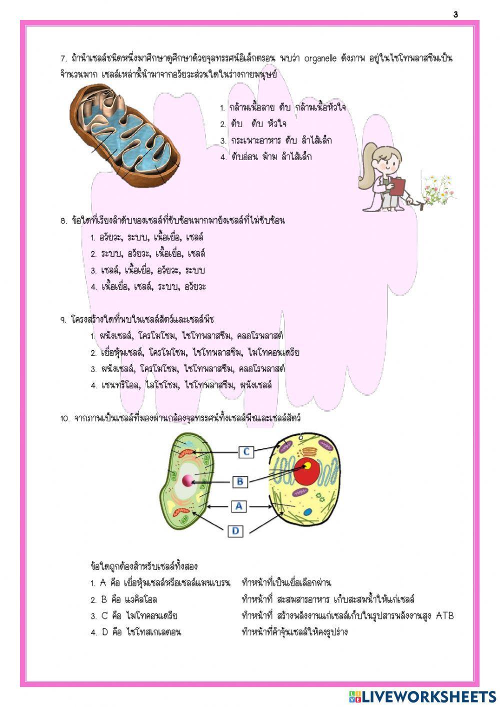 ข้อสอบเก็บคะแนน เรื่อง เซลล์