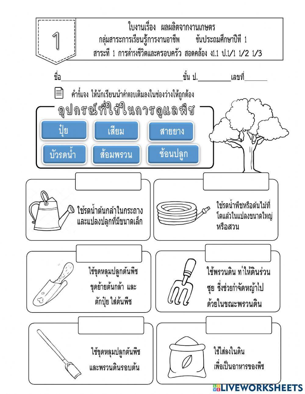 ผลผลิตจากงานเกษตร