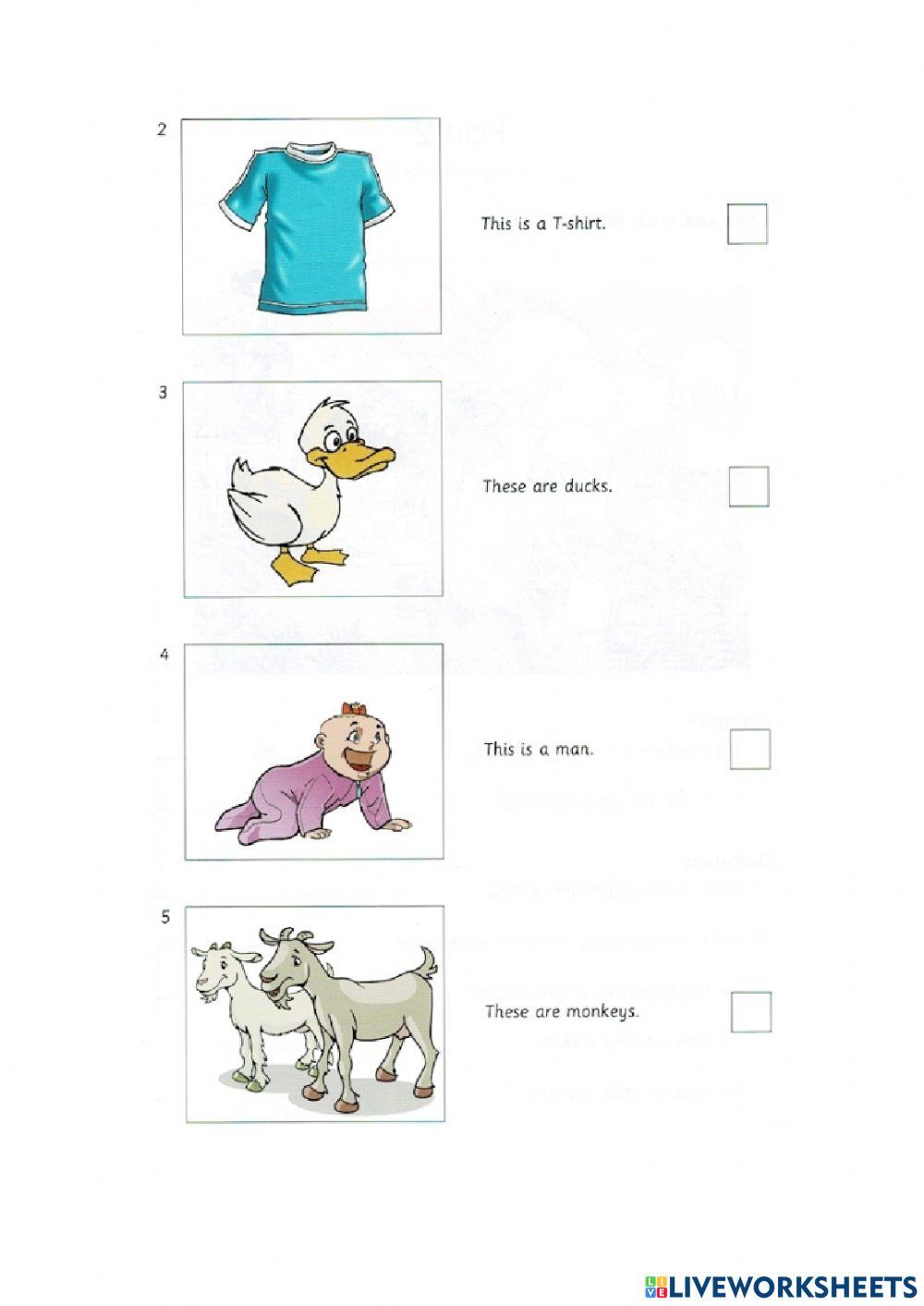 SKILL BUILDER STARTERS 1 - MỚI - UNIT 2 - READING AND WRITING