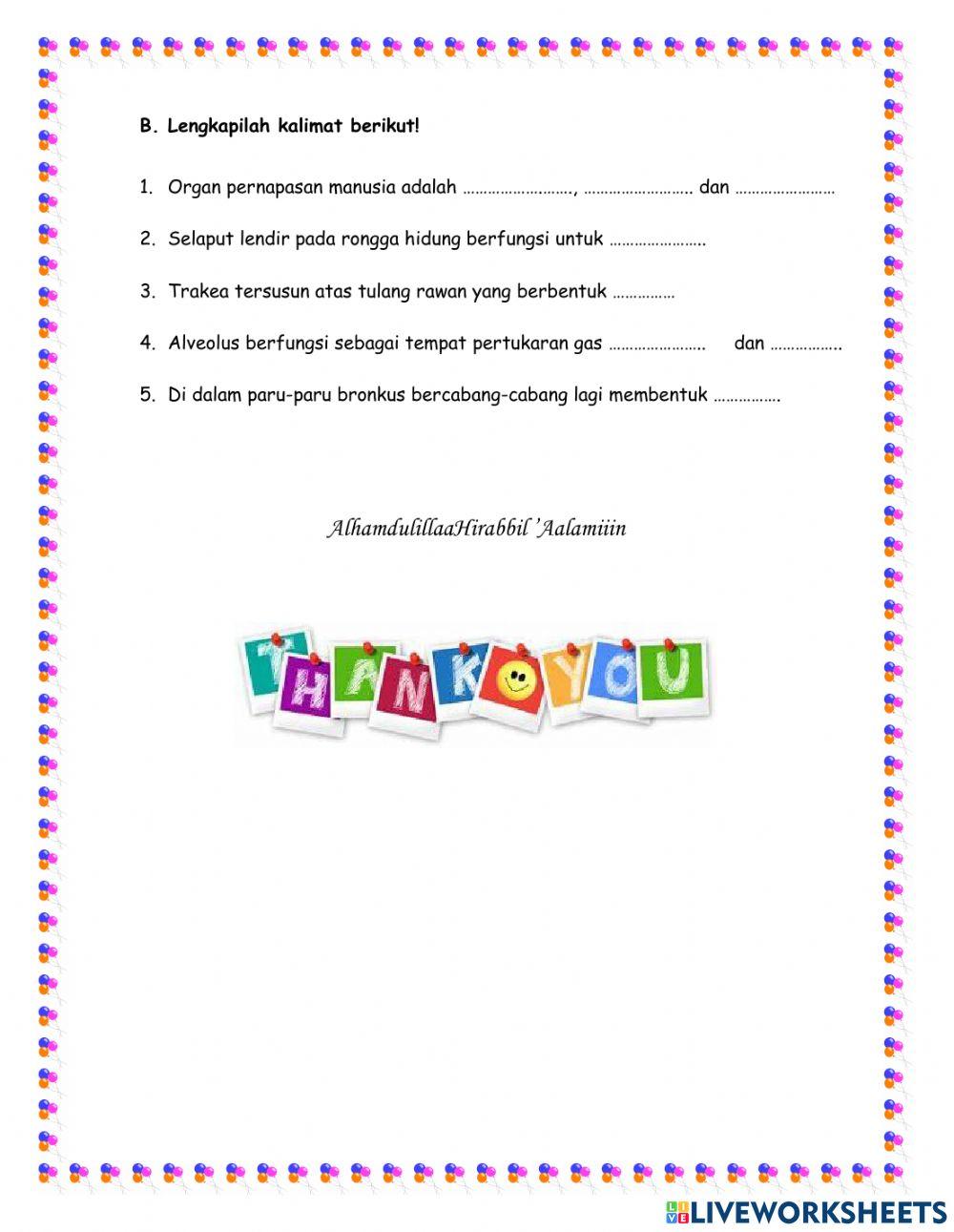 Organ Pernapasan Manusia