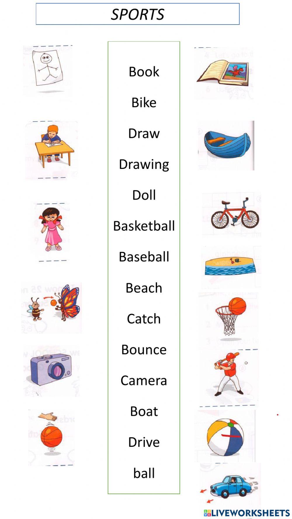 Primary Dic 1. SPORTS 2